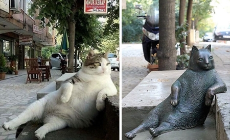 В Стамбуле появился памятник коту, отдыхающему на тротуаре