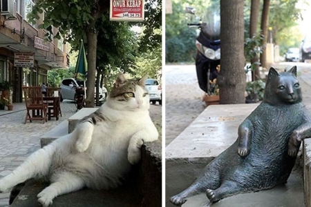 В Стамбуле появился памятник коту, отдыхающему на тротуаре
