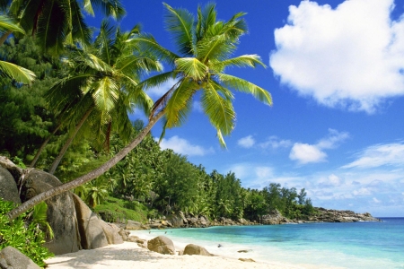 Туры на Сейшелы в январе – единство природы и истории