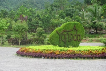 Тропический лес Янода в Хайнане